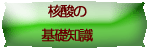 核酸